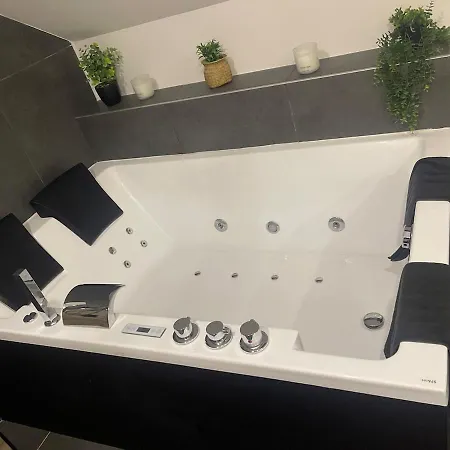 Loft Lumineux, Deco Soignee Et Ambiance Zen Lys-lez-Lannoy